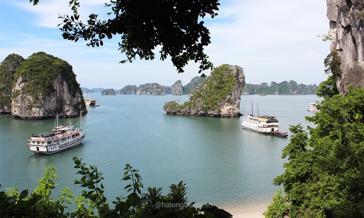 Ha Long cruise tour for 2 days 1 night