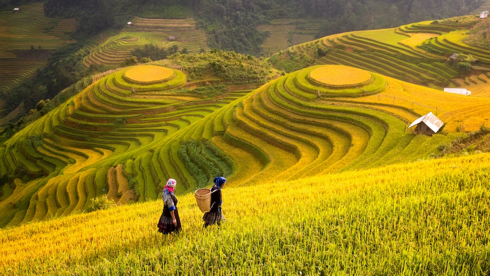 Hanoi – Ha Long – Sapa 4 days 3 nights